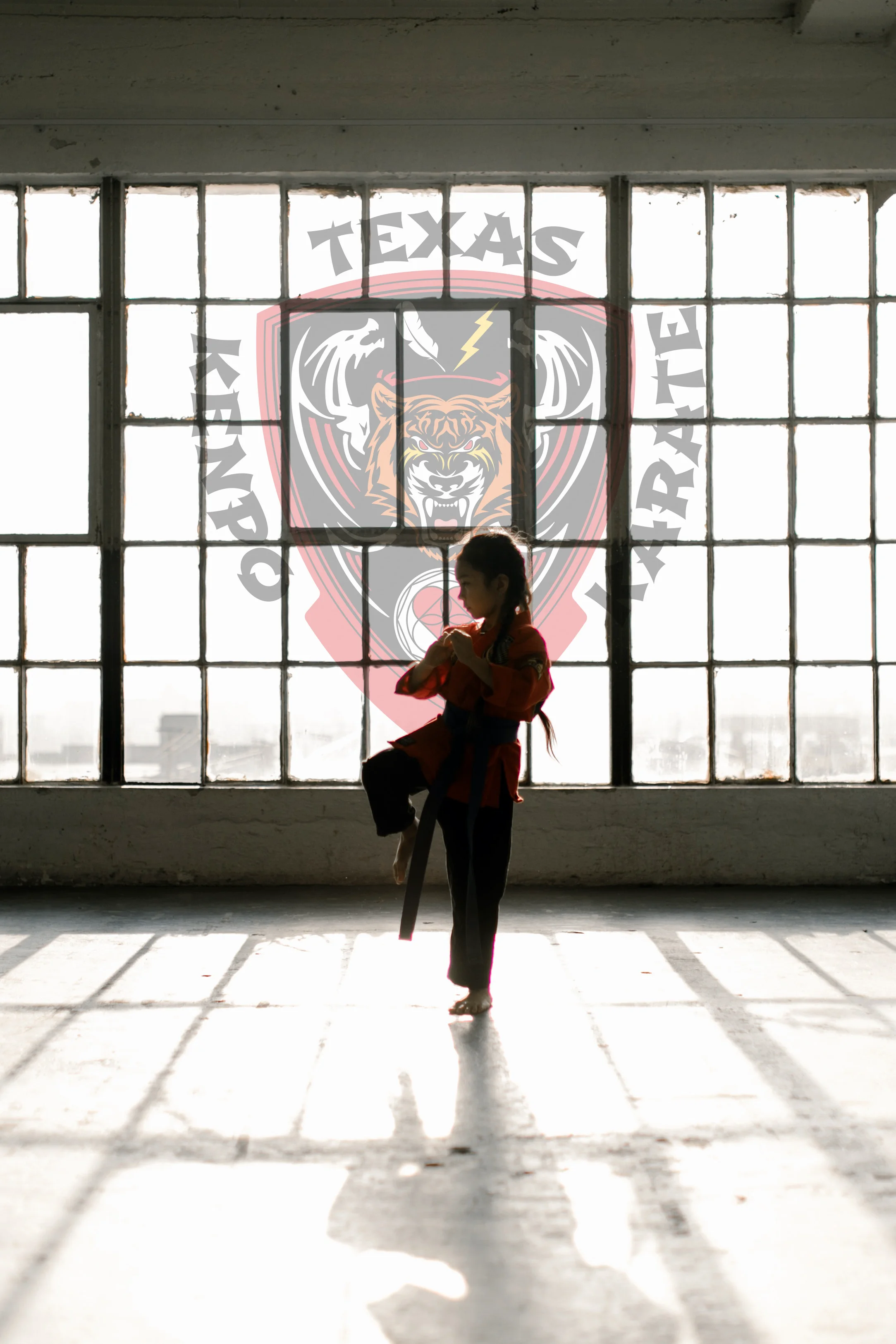 Girl practicing karate